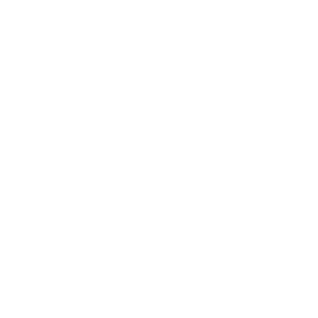 RIOSUL BRANCO